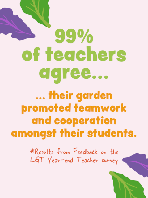 99% of teachers